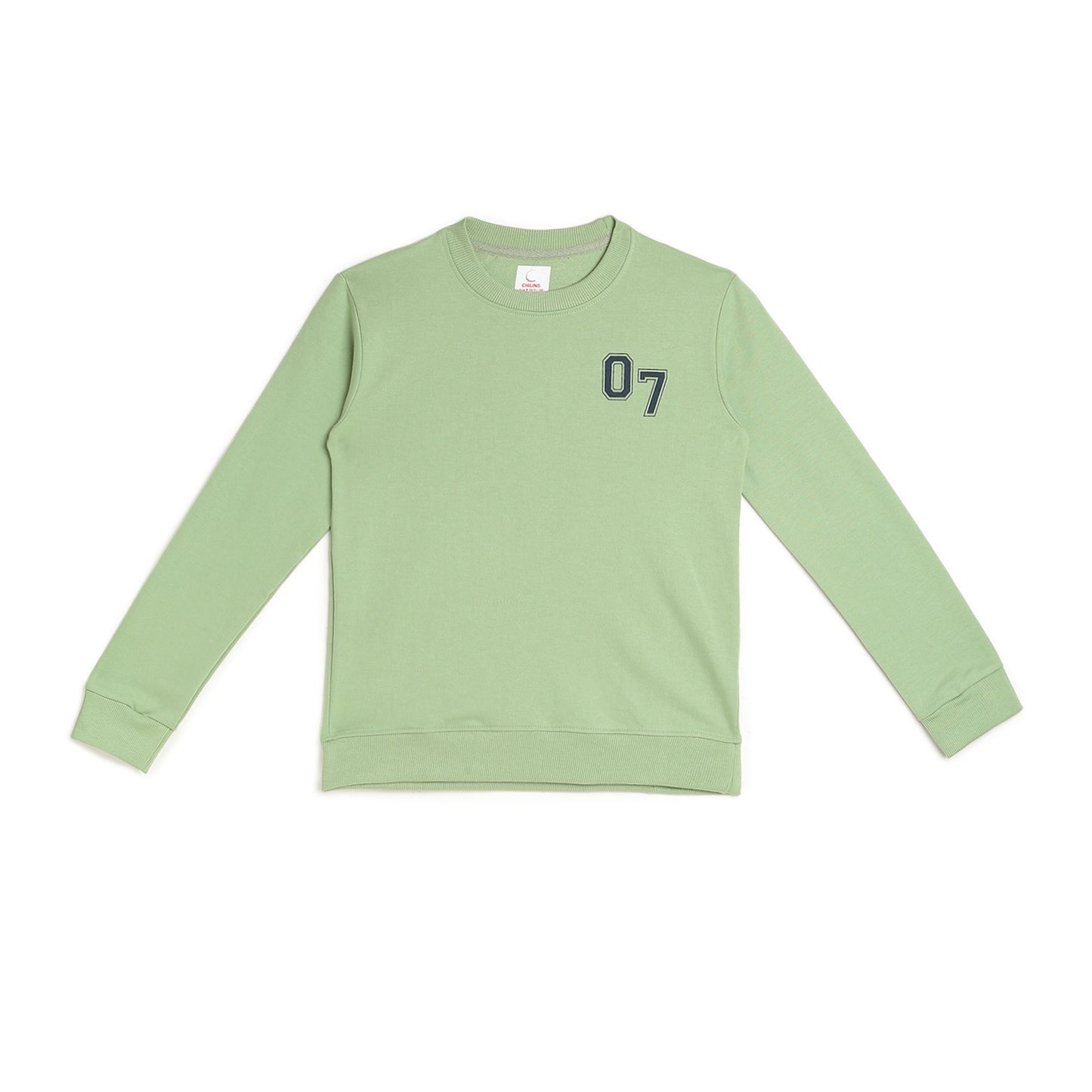 Boys Fleece Printed Round Neck Sweatshirt | Mehandi