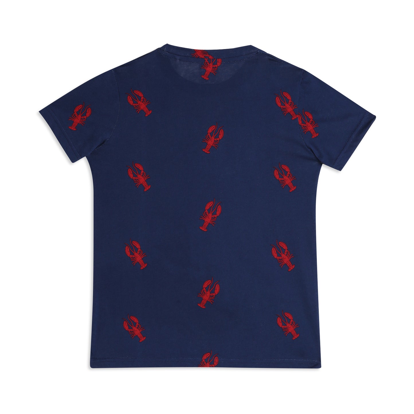 Boy Cotton Regular Fit Printed T-Shirt - Half Sleeve - Round Neck | Blue