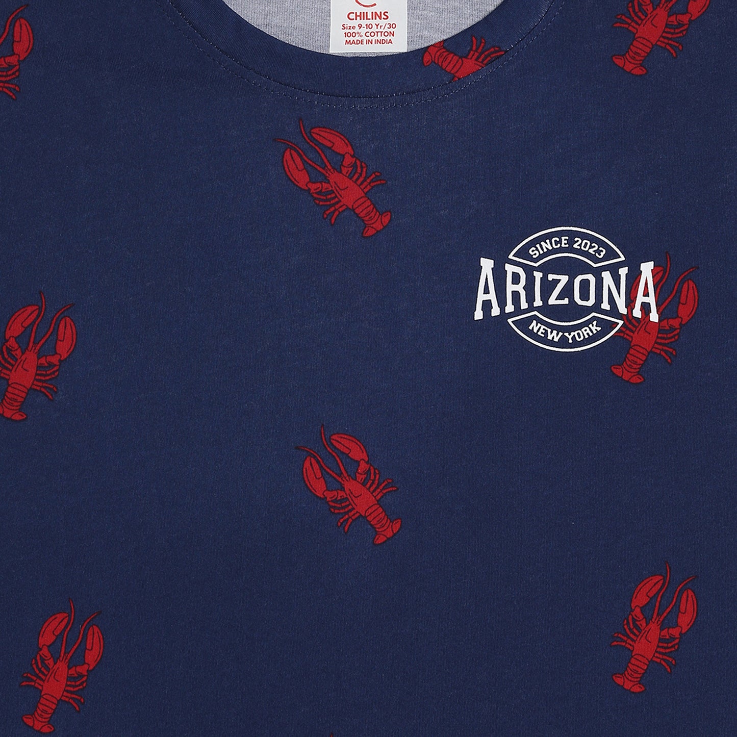 Boy Cotton Regular Fit Printed T-Shirt - Half Sleeve - Round Neck | Blue