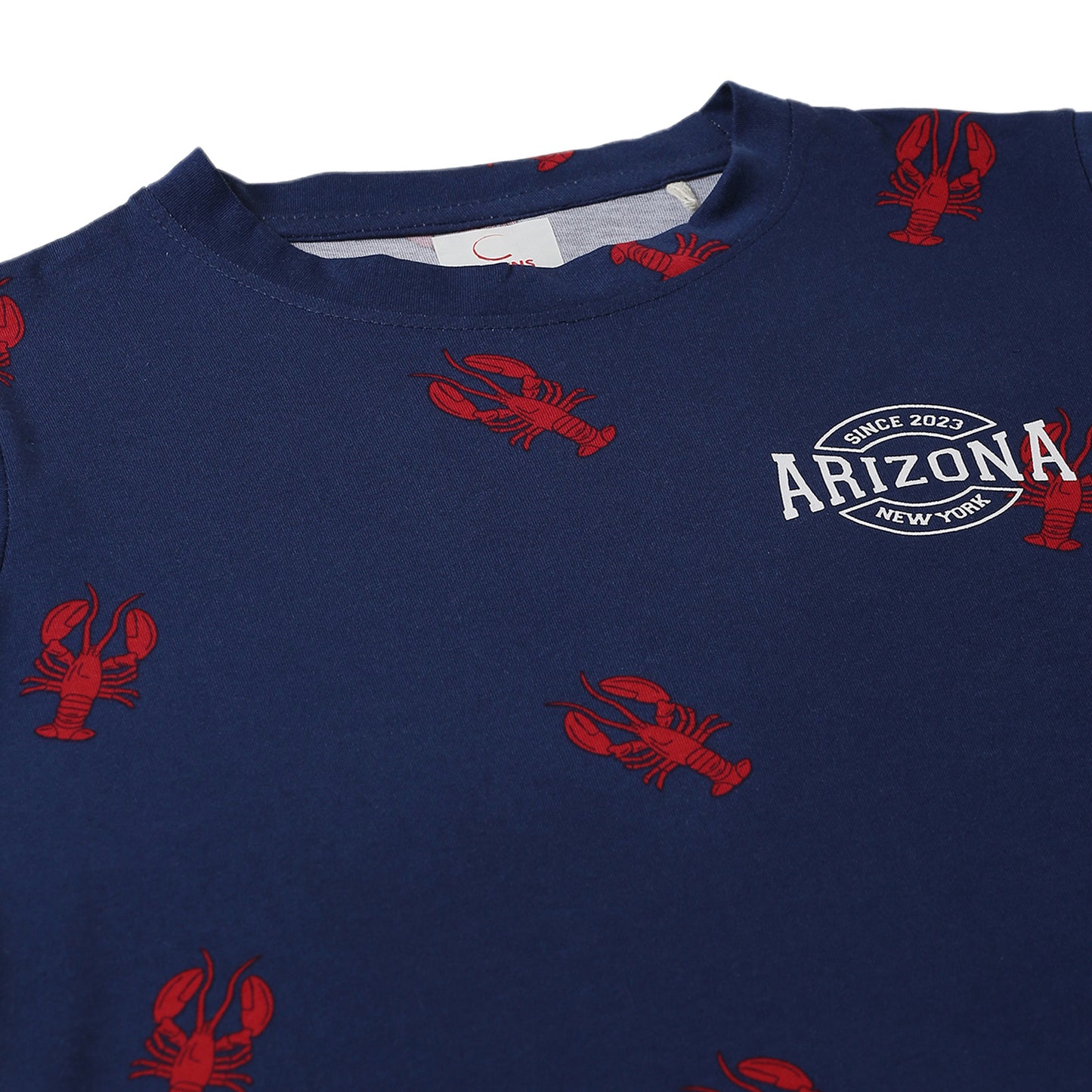 Boy Cotton Regular Fit Printed T-Shirt - Half Sleeve - Round Neck | Blue