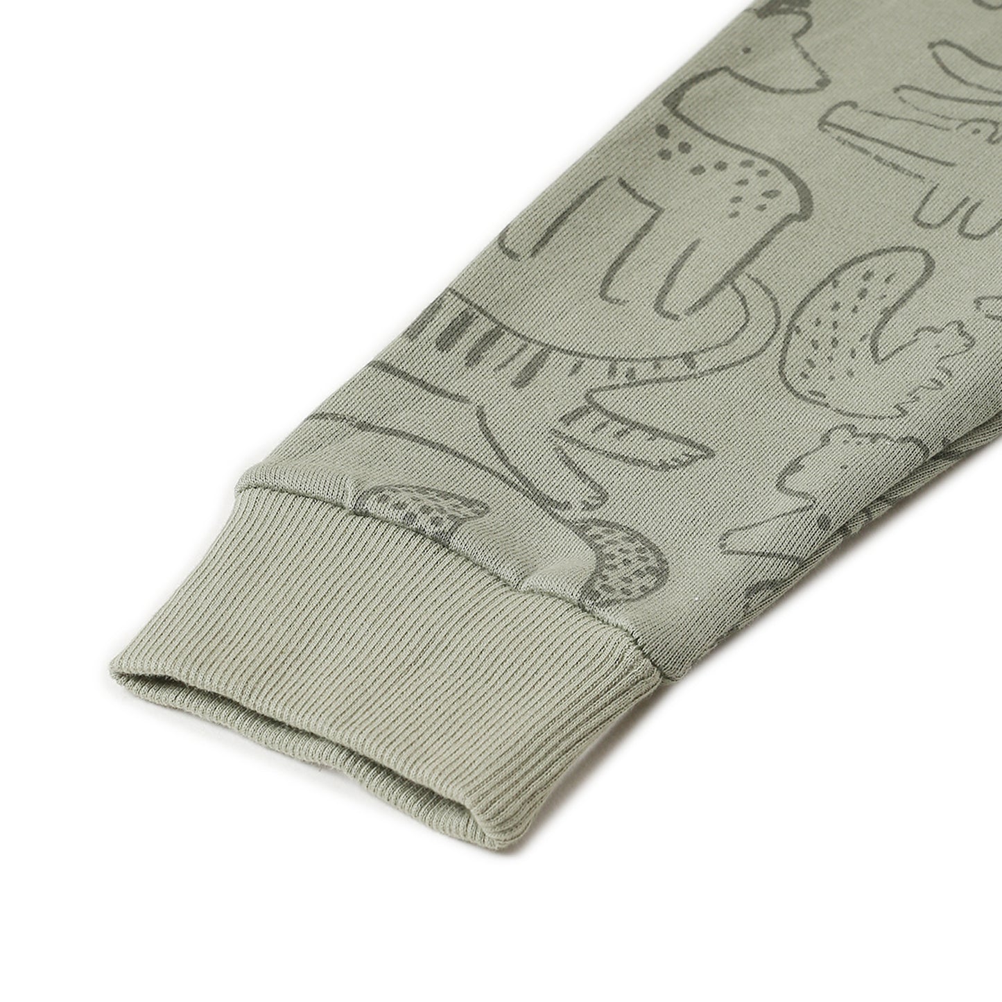 Boys Fleece Printed Round Neck Sweatshirt | Mehandi Animal Cartoon Print