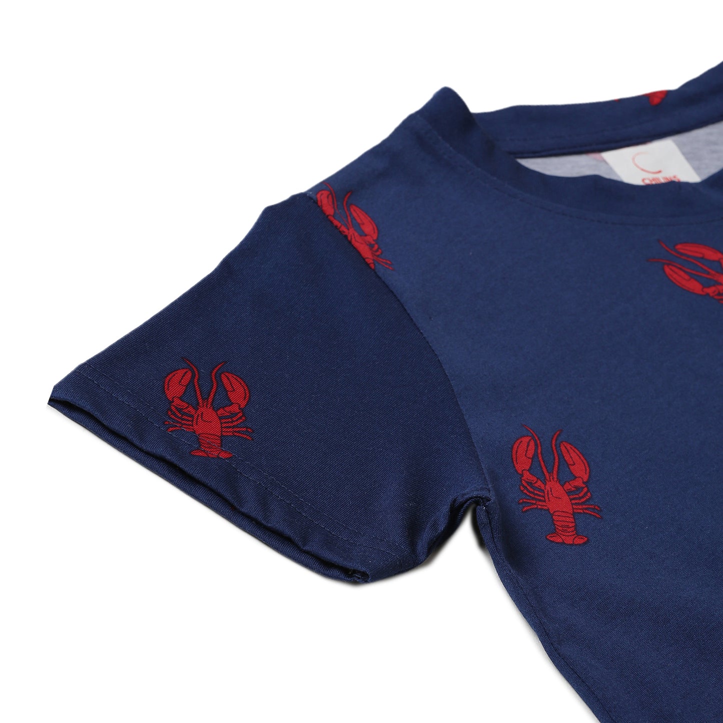 Boy Cotton Regular Fit Printed T-Shirt - Half Sleeve - Round Neck | Blue