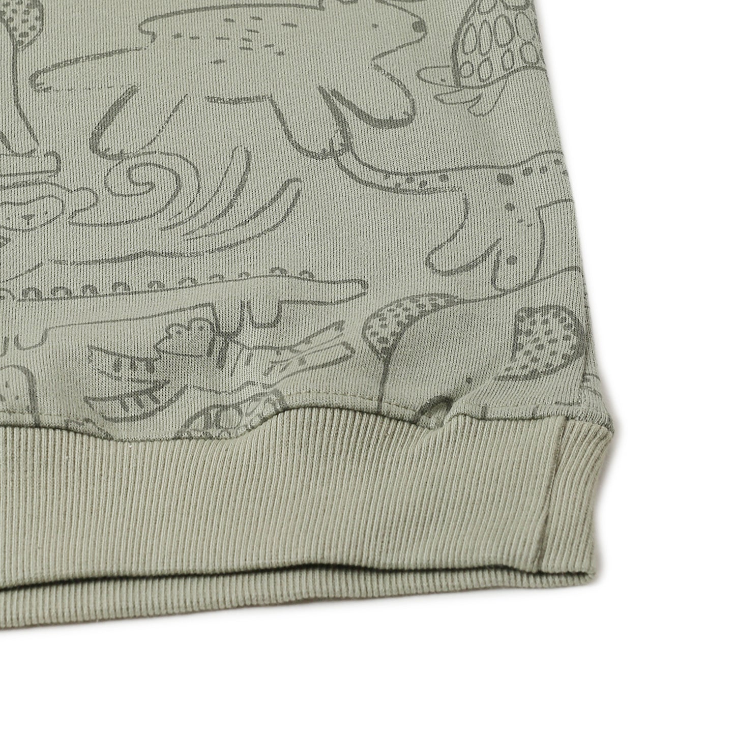 Boys Fleece Printed Round Neck Sweatshirt | Mehandi Animal Cartoon Print