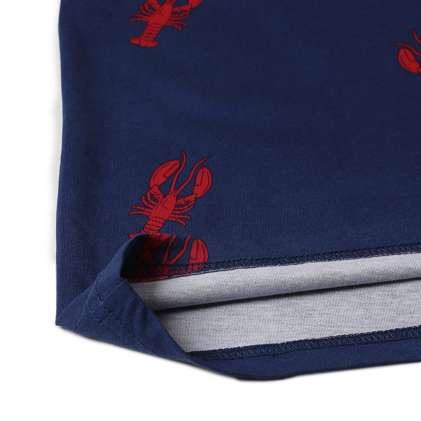Boy Cotton Regular Fit Printed T-Shirt - Half Sleeve - Round Neck | Blue