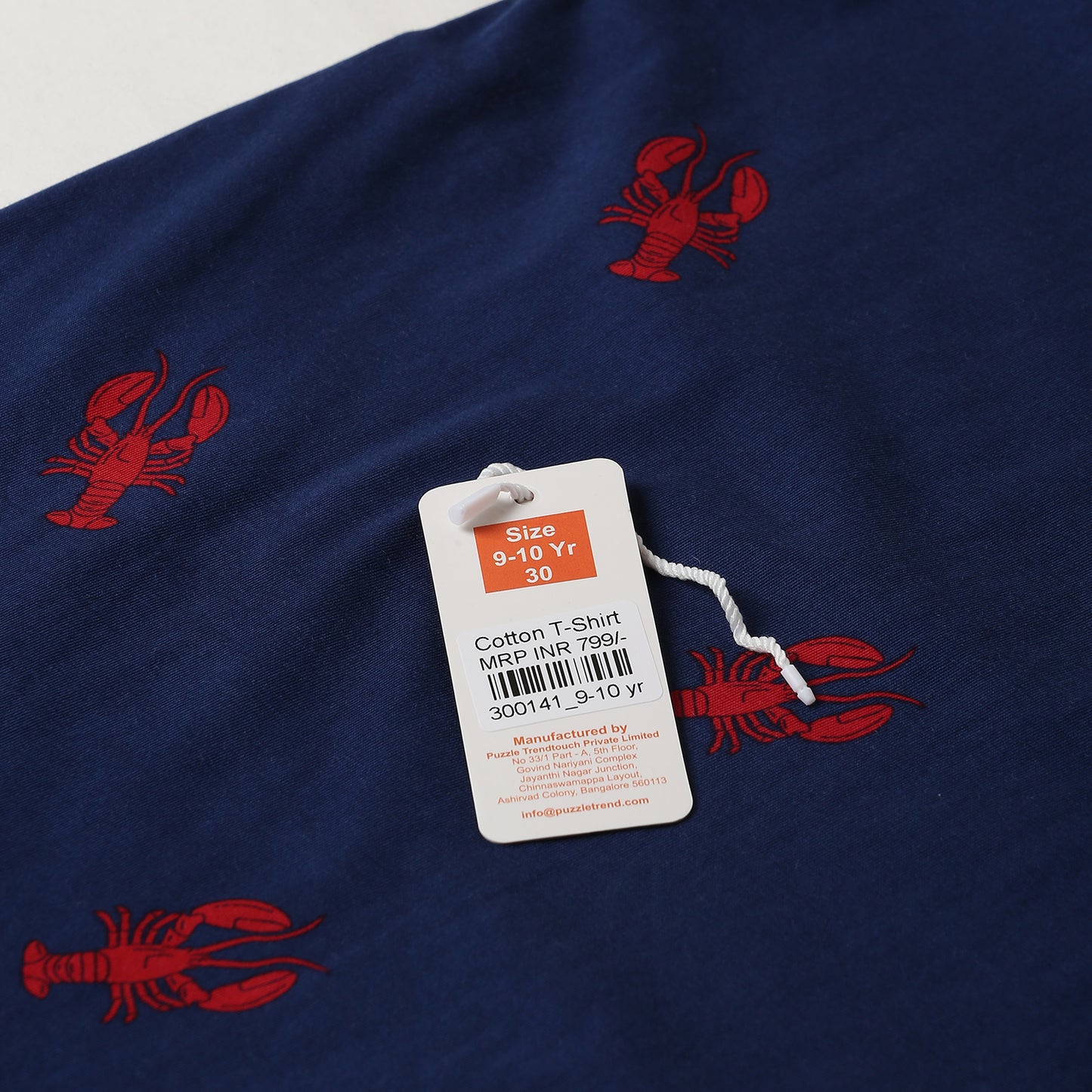 Boy Cotton Regular Fit Printed T-Shirt - Half Sleeve - Round Neck | Blue