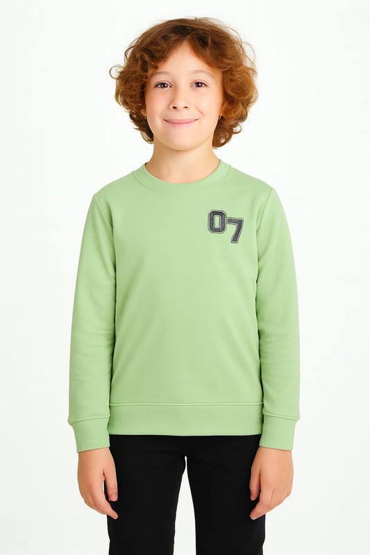 Boys Fleece Printed Round Neck Sweatshirt | Mehandi