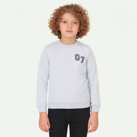 Boys Fleece Printed Round Neck Sweatshirt | Grey Milange