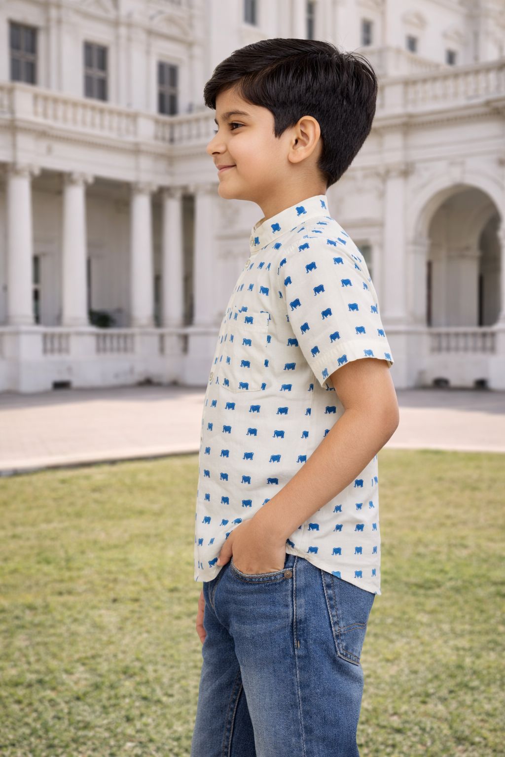 CHILINS Boys Cotton Printed Shirt with Mandarin Collar – Casual Wear