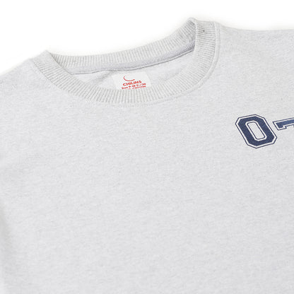 Boys Fleece Printed Round Neck Sweatshirt | Grey Milange